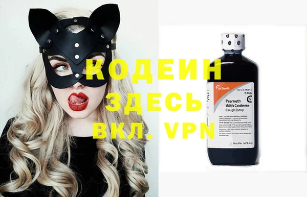 индика Киренск