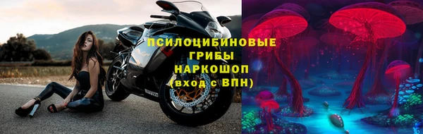 индика Киренск
