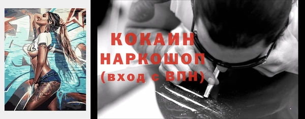 индика Киренск