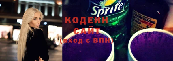 индика Киренск