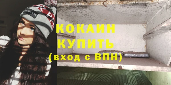 индика Киренск