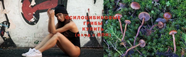 стафф Кинешма