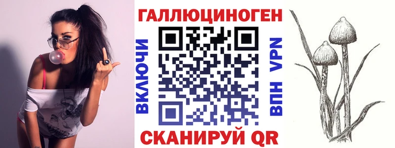 Псилоцибиновые грибы Psilocybe  Купить  Ворсма 